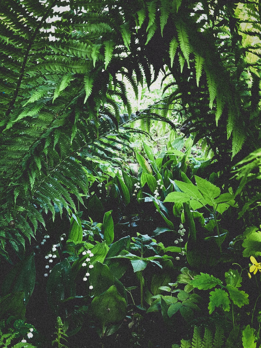 Photo Reggae and lo-fi fusion