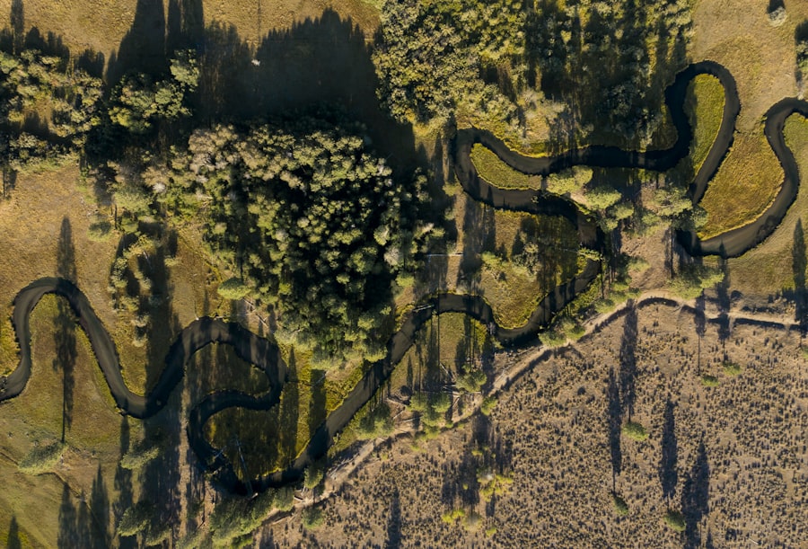 Virtual forest