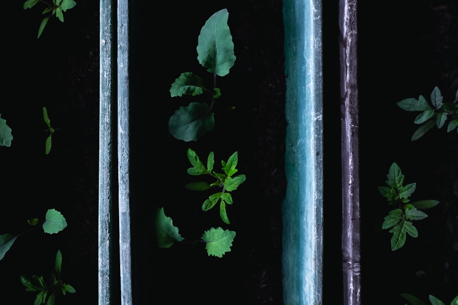 Photo Album artwork