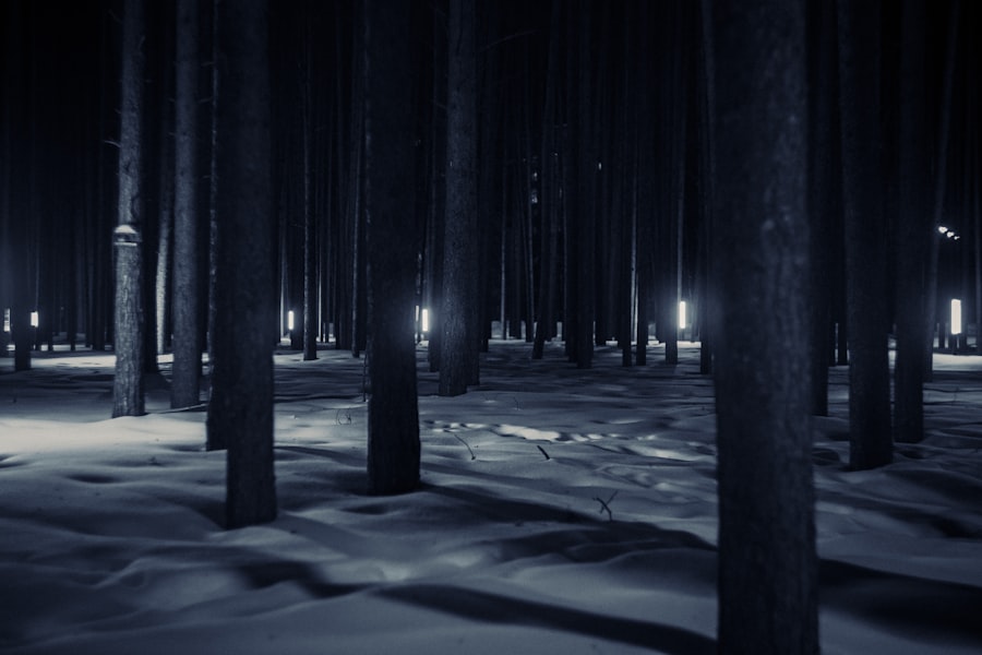 Photo Virtual forest